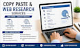 do accurate data enty, copy paste, excel, and web reserach