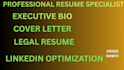 craft you a professional legal resume