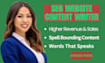 create se0 website creation se0 website content website development business