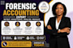 do forensic accounting, fraud investigation, litigation support, asset tracing