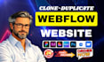 copy, clone, duplicate webflow website, framer website, recreate webflow website