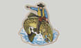do embroidery digitizing, digitize image into dst, pes, jef, emb, pxf, ofm