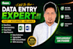 accurate excel data entry, typing, copy paste and data collection