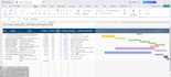 develop a professional project schedule using primavera p6