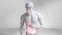 create professional 3d medical animation videos