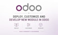 develop new odoo erp features, customize existing modules and fix issues