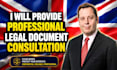 provide professional legal document consultation