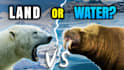 design dramatic animal and wildlife youtube thumbnails
