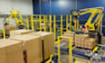 esign robotic palletizing and packaging automation systems