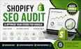 do shopify SEO audit and optimize your store for google
