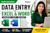 do accurate data entry in microsoft excel and word