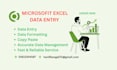 do excel data entry and professional designer