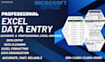 do professional excel data entry