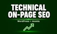 do technical on page seo for wordpress or joomla