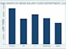 analyze your data using stata and excel