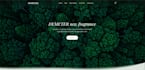 do custom website development as your frontend backend developer