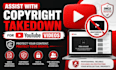 assist with youtube dmca takedown notices