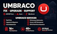 fix, upgrade and maintain your umbraco website