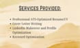 provide expert ats resume writing and editing