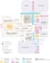 do architectural circulation diagrams