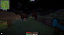 collect any items, resources, and blocks in minecraft