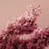 do 3d plant animation, 3d flower animation, 3d flower model, flower animation