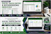 do professional excel data entry and bookkeeping