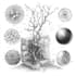 design your scientific and medical figures on biorender