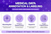 do medical image annotation, labeling and segmentation