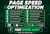 do perfect pagespeed insights speed optimization for wp site