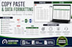 do data entry, copy paste and excel data entry