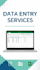 do fast and accurate excel and google sheets data entry