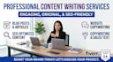 write SEO optimized articles