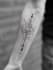 create dark tattoo design