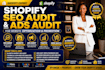 shopify seo  audit ecommerce store ads  for website optimization and promotion