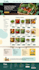 design and redesign elementor wordpress website