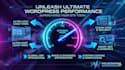 speed up the wordpress website and optimize SEO for better performance