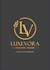 design a professional logo