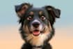 draw your pet as a disney princess or fantasy character