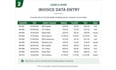 invoice and accounting data entry in excel and software