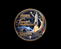 design professional unique rocket logo within 12 hours
