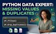 do python data cleaning and data preprocessing using pandas