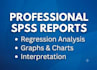 do spss statistical data analysis and data cleaning