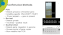 create professional biology powerpoint presentations