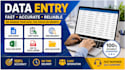 do accurate data entry,copypaste,web research,and excel data entry