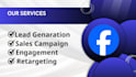 oversee the facebook and instagram ads campaign