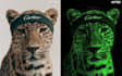 do professional photo manipulations