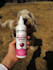 create ugc pet videos