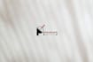 design clean vector brandmark for your company