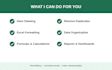 clean, organize and format your excel data professionally